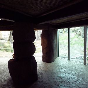 Predators Of The Serengeti - Lion Exhibit