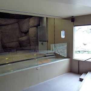 Predators Of The Serengeti - Presentation Area