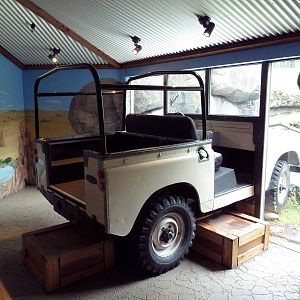 Predators Of The Serengeti - Cheetah Exhibit