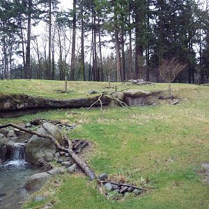Predators Of The Serengeti - Cheetah Exhibit