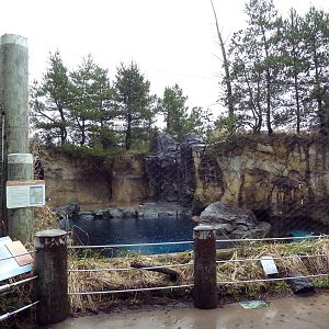 Steller's Sea Lion Exhibit