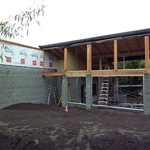 Future Clouded Leopard Exhibit