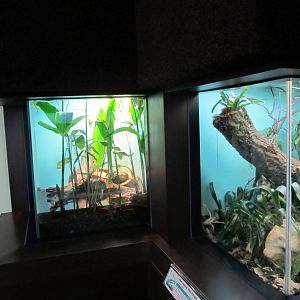 Reptile Terreriums