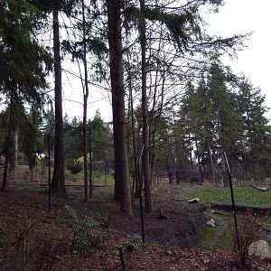 Red Wolf Woods - New In 2010