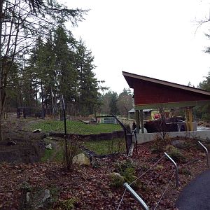 Red Wolf Woods - New In 2010