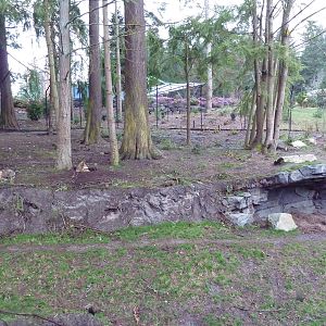 Red Wolf Woods - New In 2010