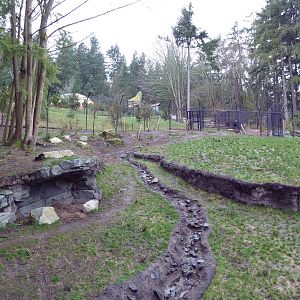 Red Wolf Woods - New In 2010