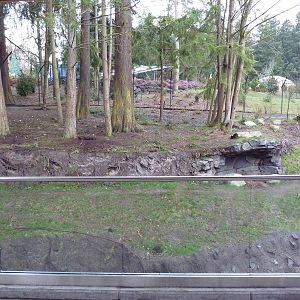 Red Wolf Woods - New In 2010