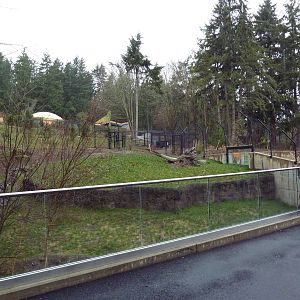 Red Wolf Woods - New In 2010