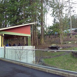 Red Wolf Woods - New In 2010