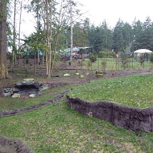 Red Wolf Woods - New In 2010