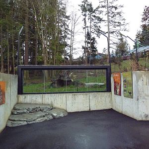 Red Wolf Woods - New In 2010