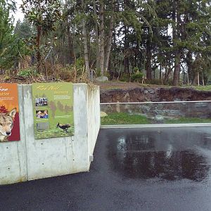 Red Wolf Woods - New In 2010