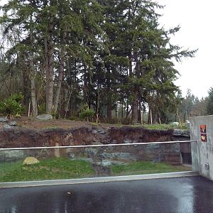 Red Wolf Woods - New In 2010