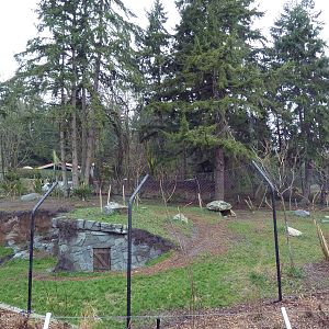 Red Wolf Woods - New In 2010