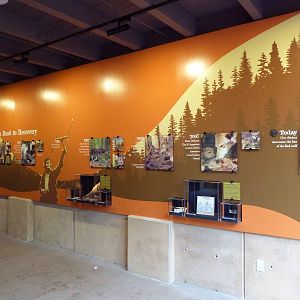 Red Wolf Woods - New In 2010