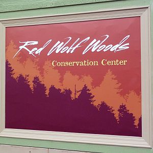 Red Wolf Woods - New In 2010