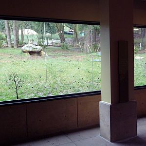 Red Wolf Woods - New In 2010