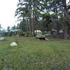 Red Wolf Woods - New In 2010