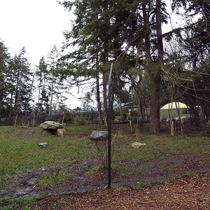 Red Wolf Woods - New In 2010