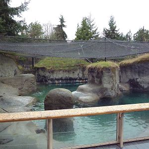 Walrus Exhibit