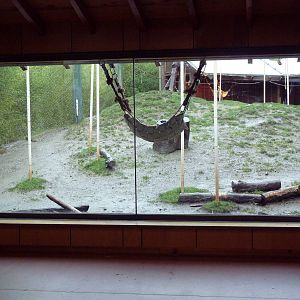 Asian Forest Sanctuary - Rotation Exhibit