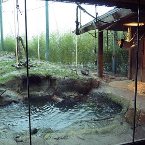 Asian Forest Sanctuary - Rotation Exhibit