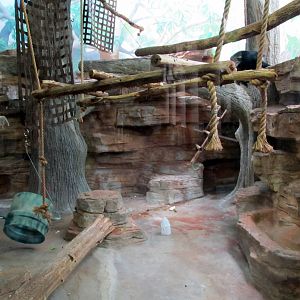 Lion-tailed Macaque Exhibit