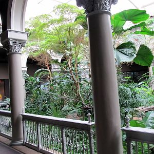 Center of Primate House