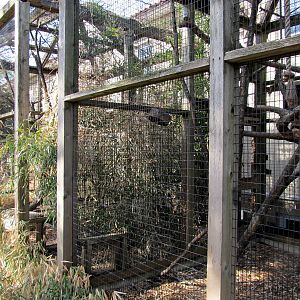 Outdoor Lemur Cages