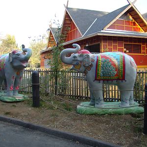 Elephant Parade statues