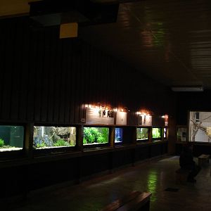 Inside aquarium