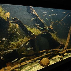 Aquarium