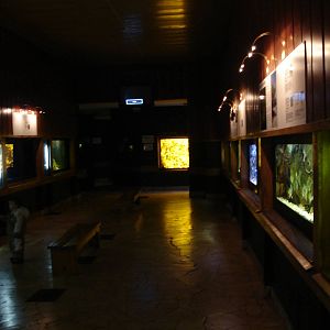 Inside aquarium