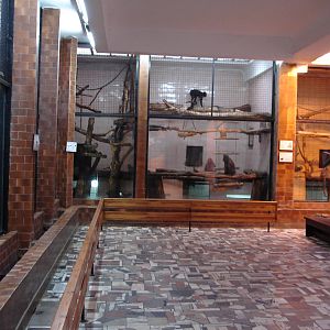 Inside monkey house