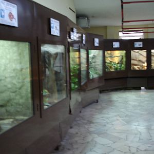 Inside reptile house