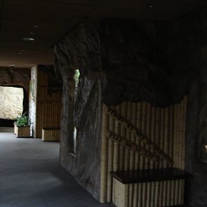 Inside gorilla house