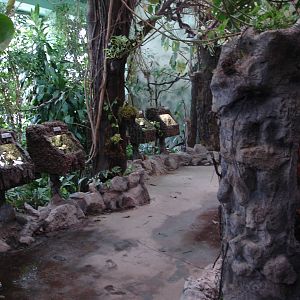 Inside Insectarium