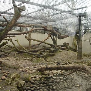 Jaguars exhibit