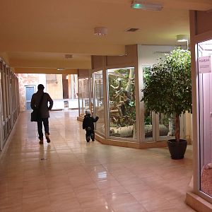 Inside Giraffes house