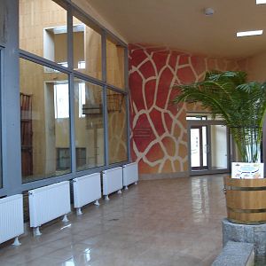 Inside Giraffes house