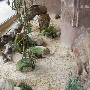 Part of dwarf mongoose enclosure at Drusillas Park, 20 March 2011