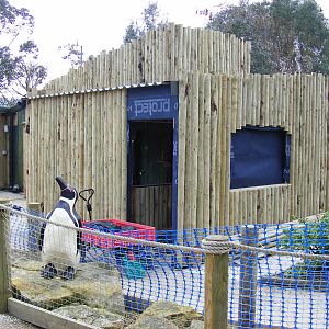 Construction work on new Lory Landing exhibit at Drusillas Park, 20 March 2