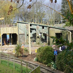 Construction work on the Lory Landing exhibit at Drusillas Park, 20 March 2