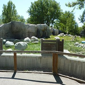 Zoo Montana - Bighorn Sheep Exhibit