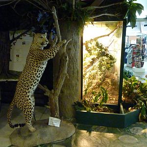 Zoo Montana - Discovery Center