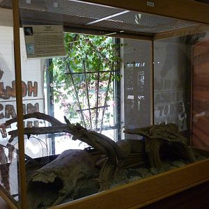 Zoo Montana - Discovery Center