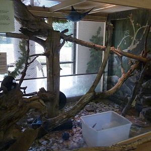 Zoo Montana - Discovery Center