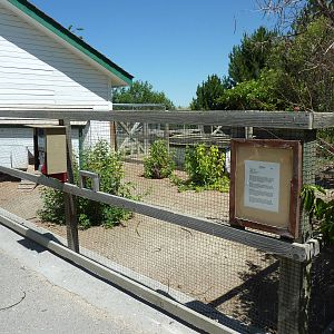 Zoo Montana - Farmyard Area