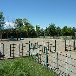Zoo Montana - Farmyard Area
